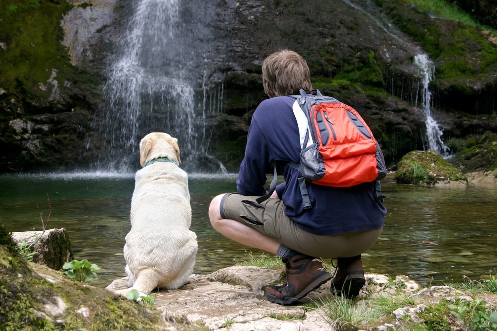 6 Fun Exercises To Try With Your Dog